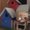 Photo of Jeremy K.