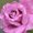 Photo of Evalina C.