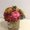 Photo of PalmSpring G.