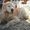 Photo of Qype User (Mama5…)
