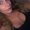 Photo of Keri D.