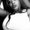 Photo of Takeyah B.