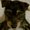 Photo of Phoebe Monster E.