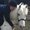 Photo of Qype User (lossy3…)