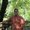 Photo of Mike A.
