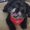 Photo of Miwa T.