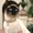 Photo of Susan B S.