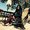 Photo of Pooja K.