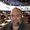 Photo of Matthew C.