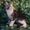 Photo of Vcfluffycoons S.