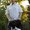 Photo of Dmitriy M.