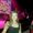 Photo of Natalya G.