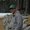 Photo of Shane S.