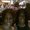 Photo of Devonna G.