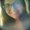 Photo of Jacquelyn D.