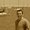 Photo of Mark H.