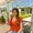 Photo of Arianna C.