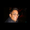 Photo of Erick L.
