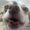 Photo of Cindy L.