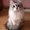 Photo of Curious C.