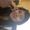 Photo of Galilea G.