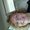 Photo of Riva G.