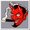 Photo of Wyatt W.