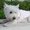 Photo of Qype User (lollor…)