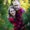 Photo of Lisa W.