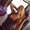 Photo of Pattie M.