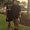 Photo of Ligia G.