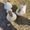 Photo of Luke H.