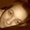 Photo of Marlena H.