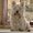 Photo of Qype User (poirot…)