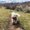 Photo of Mindi A.