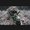 Photo of Anonymous W.