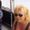 Photo of Suzette C.
