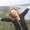 Photo of Olga S.
