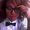 Photo of LacyMarie G.
