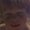 Photo of Caeli A.