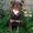 Photo of Cindy J.