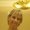 Photo of Jeana R.