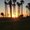 Photo of Raychel H.