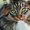 Photo of Qype User (Peer_…)