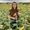 Photo of Allyssa P.