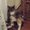 Photo of Loocy J.