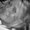 Photo of Wanda H.