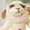 Photo of Lambchop D.