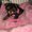 Photo of Khloe E.