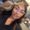 Photo of Tomiko G.